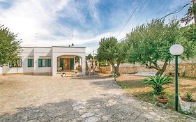 Il Grande Ulivo